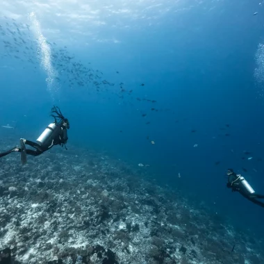 Scuba diving in Rangiroa © Alexandre Voyer