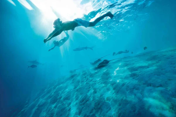 une balade sous l'eau avec les raies et requins du lagon de bora bora © Grégoire Le Bacon