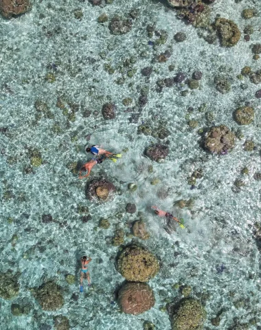 Des lagons remplies de coraux ©Grégoire Le Bacon _ LionAiles