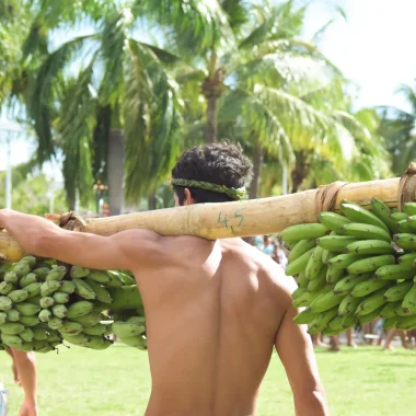 Back fruit carrier with banana bunches © Teriitua Maoni