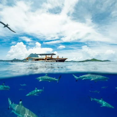 Bora Bora boat trip © Grégoire Le Bacon