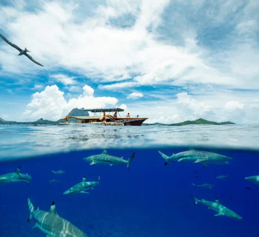 Bora Bora boat trip © Grégoire Le Bacon