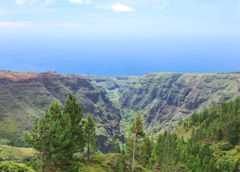 View from one of Nuku Hiva's plateaus © Tahiti Tourisme