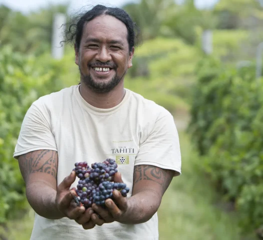 Rangiroa wine is produced from vines grown directly on the island © Grégoire Le Bacon
