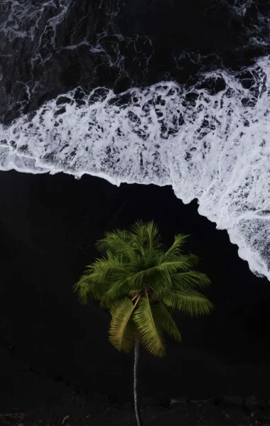 Plage de sable noir à Tahiti Et Ses Îles ©Jim Winter